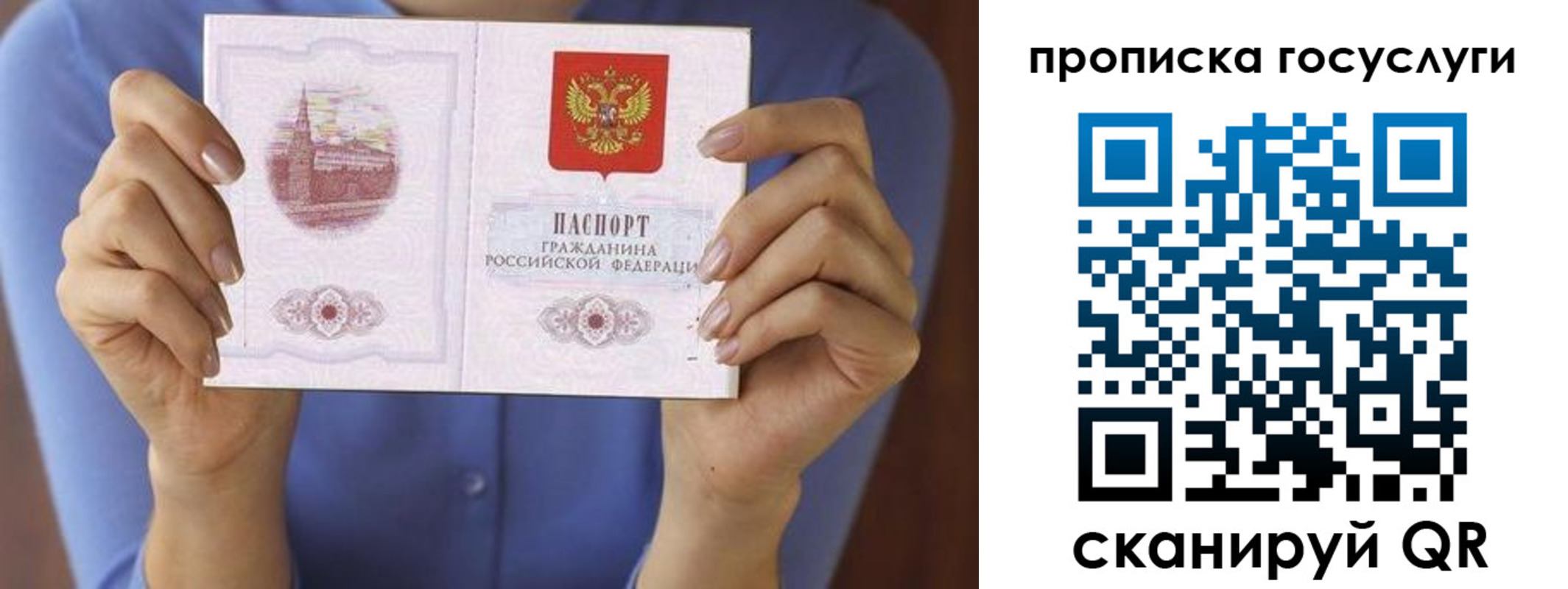 временная регистрация поиск в Сертолово